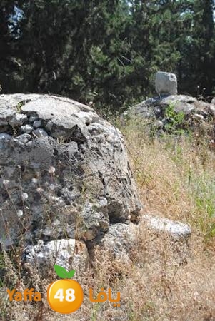 re7la 3emwas 0517 (19).jpg